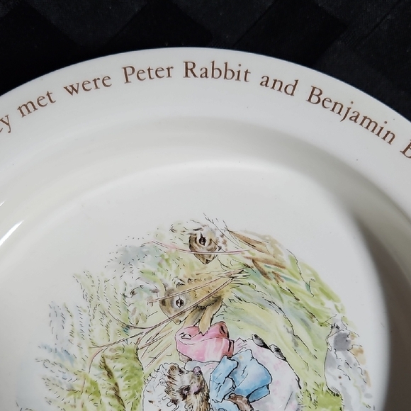 Wedgwood's Beatrix Potter - Mrs Tiggy-Winkle Porcelain Porringer Rimmed Bowl - Picture 8 of 10